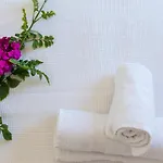 Alana Mykonos